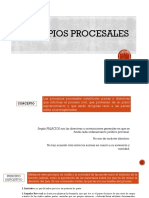 Principios procesales fundamentales