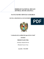 Informe de Ambienta PDF