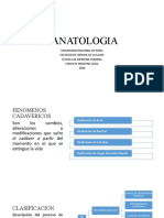 Tanatologia-Presentacion Point
