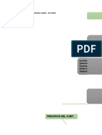 Mapa Conceptual Cobit