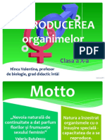 Reproducerea Organismelor