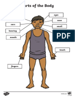 T T 10042 Parts of The Body Senses Labelling Activity Sheet - Ver - 3 PDF