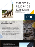 Animales en Peligro de Extincion