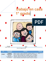 Plan de Pandemia PDF