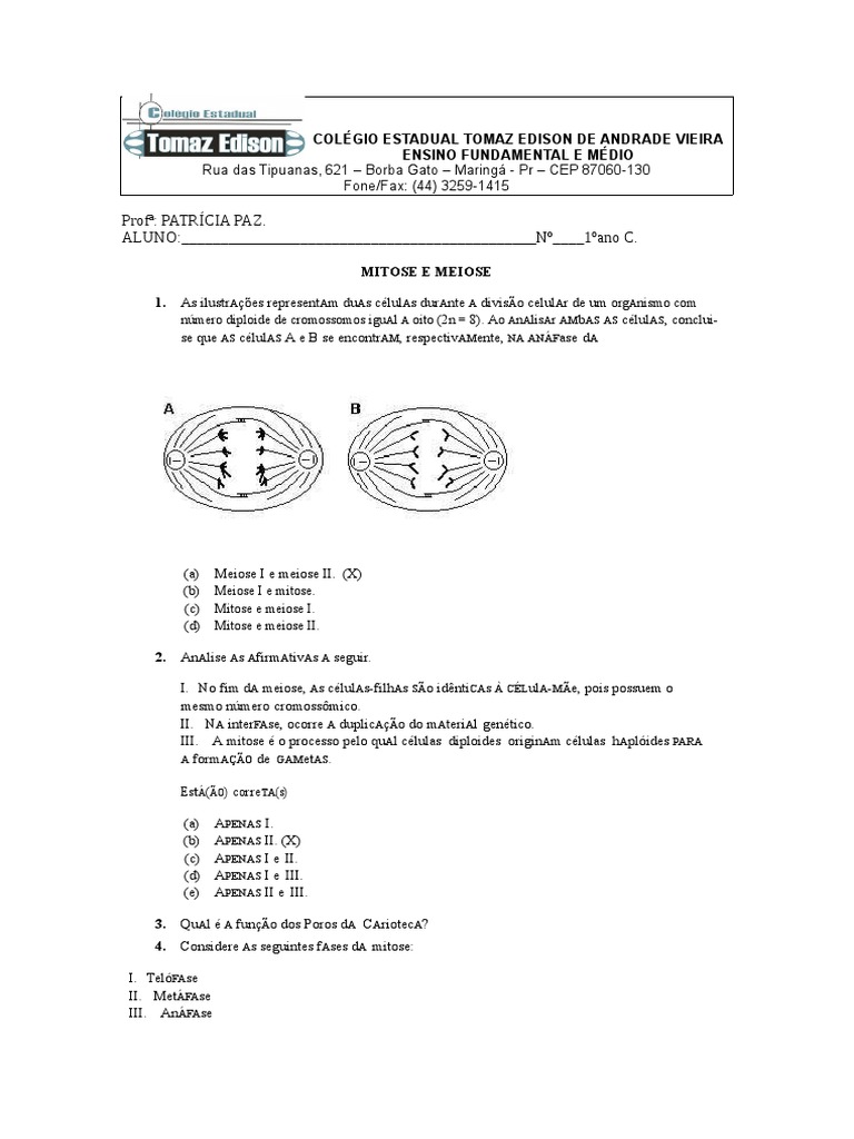 Mitose e Intérfase - Revisão de divisão celular - Biologia Enem