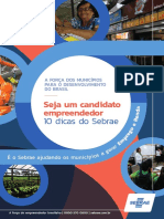 10 Dicas do sebrae para o Candidato - SEBRAE.pdf