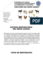 Sistema Respiratorio Reino Animal