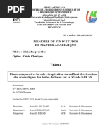 memoire finale-converted.docx