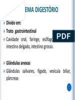 Digestório PDF