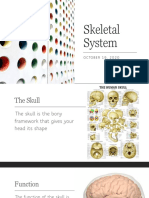 Unit 2 Skeletal System 10