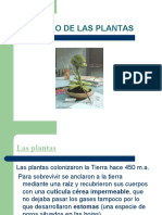 EL REINO DE LAS PLANTAS