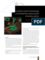 Los Límites Entre La Histología y La Bioquímica Observando Al Núcleo Celular PDF