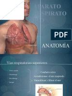 Aparato Respirato RIO: Anatomía