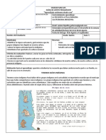 Guia #5 Sociales Grado 5