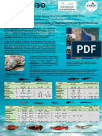 Metazoan Parasites From Deep-Sea Fishes in The South Eastern Pacific Ocean