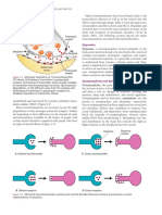 3a 3c 4 Dopamine, A Neurotransmitter Located Primarily in The