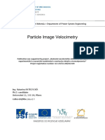 PIV datos.pdf