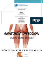 Anatomía Disección