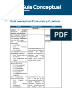 Guia Conceptual PDF