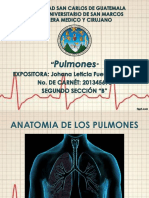 Pulmones1 PDF