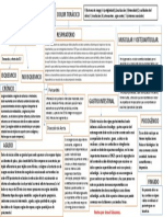 Resumen - Dolor Torácico