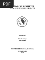 Download LAPORAN PRAKTIKUM ANALISIS KUALITATIF by Prima  SN48077142 doc pdf