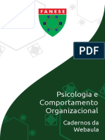 PSICOLOGIA E COMPORTAMENTO ORGANIZACIONAL - Webaula Fanese.pdf