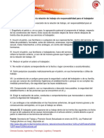 Articulo51.pdf