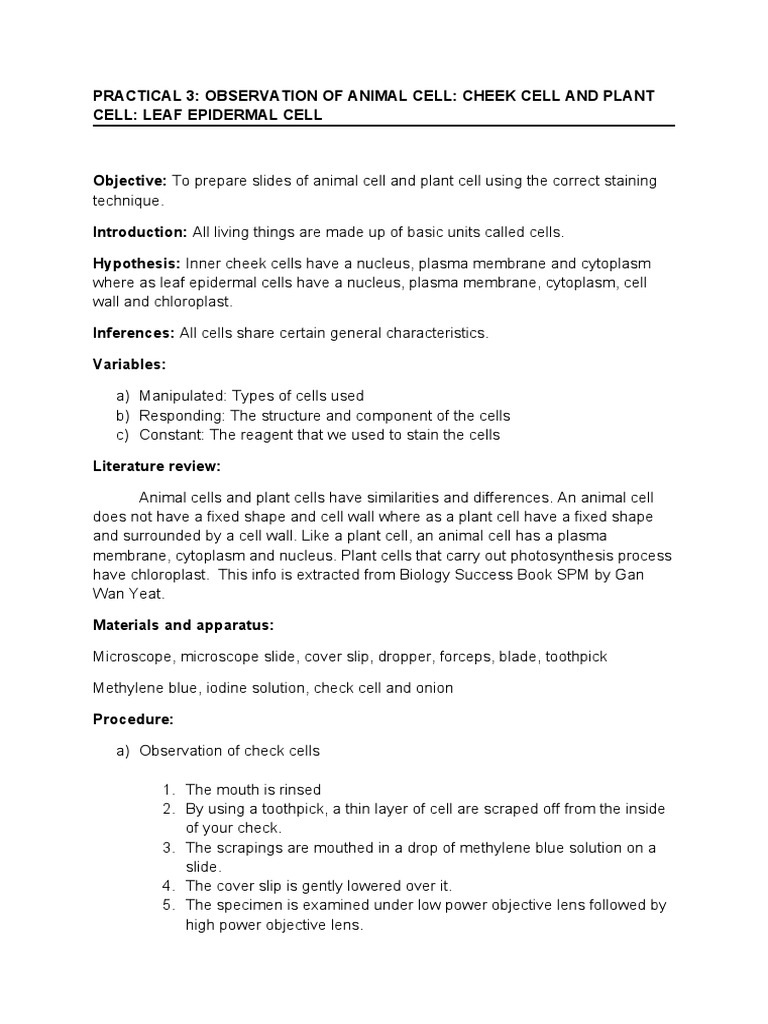 Practical 3: OBSERVATION OF ANIMAL CELL: CHEEK CELL AND PLANT CELL ...