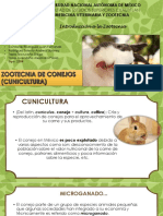 Presentación Conejos Intro A La Zootecnica 2204 PDF