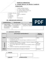 Ciencia y Ambiente Sesiones Matematica