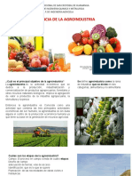 Importancia de La Agroindustria Tema 1 Agricola