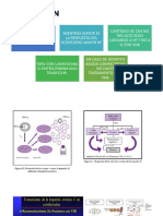 DISCUSION (PRIMERA PARTE) de VIH Y HEPATITIS