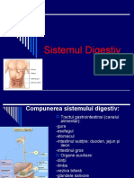 Sistemul Digestiv
