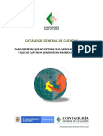 Catalogo General Cuentas Estado de Situacion Fianciera PDF