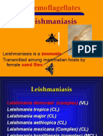 Leishmaniasis: The Parasite, Life Cycle, and Diseases