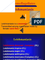 Leishmaniasis