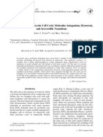 Regulation of The Eukaryotic Cell Cycle: Molecular Antagonism, Hysteresis, and Irreversible Transitions