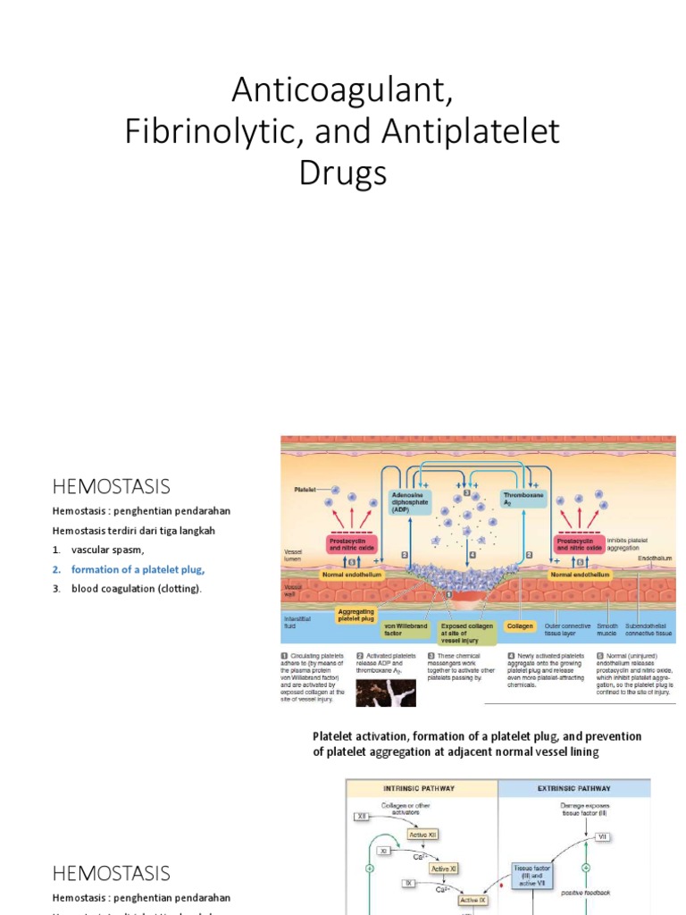 Anticoagulants vs. Antiplatelet Drugs | PDF | Coagulation | Platelet