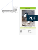 Paloma Buchona - EcuRed PDF