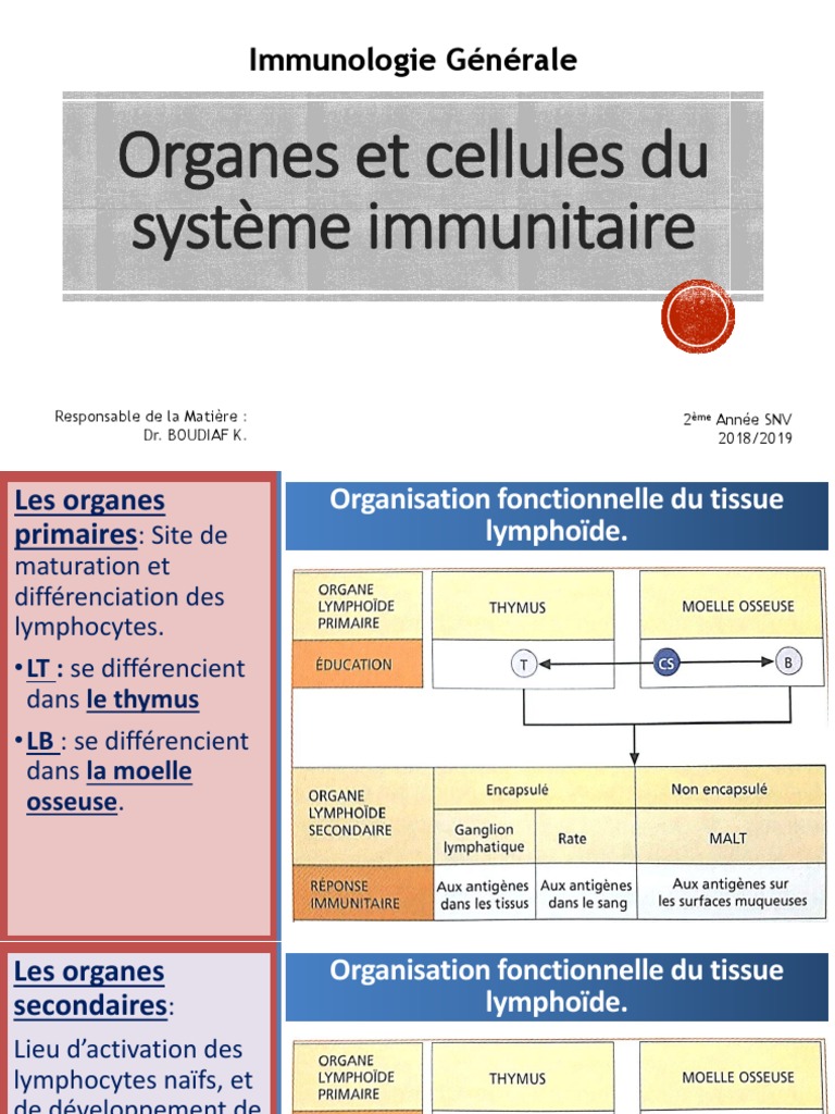 Organes et cellules du système immunitaire | PDF | Système immunitaire ...