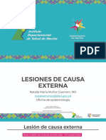 Lesiones de Causa Externa