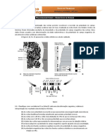 8-BioGeo10-paleomagnetismo-exames.pdf