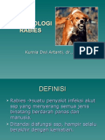 Rabies.ppt