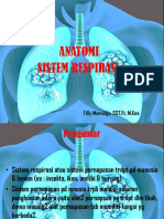 Anatomi Sistem Respirasi PDF