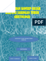 Prinsip Dan Konsep Dasar Anatomi Jaringan Tubuh PDF