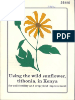Using The Wild Sunflower, Tithonia, in Kenya
