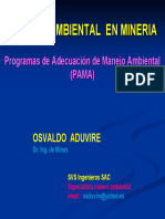 Gestión ambiental en minería: PAMA