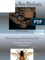 HoneyBeeBiologyIindividual.pdf