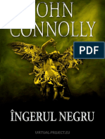 John Connolly - Ingerul Negru